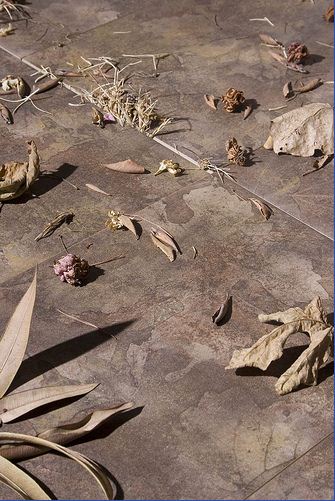 Otonal