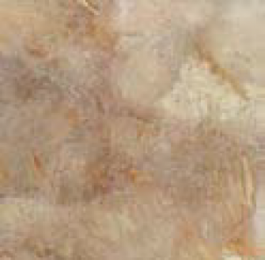 Облицовъчни плочки Vega Beige